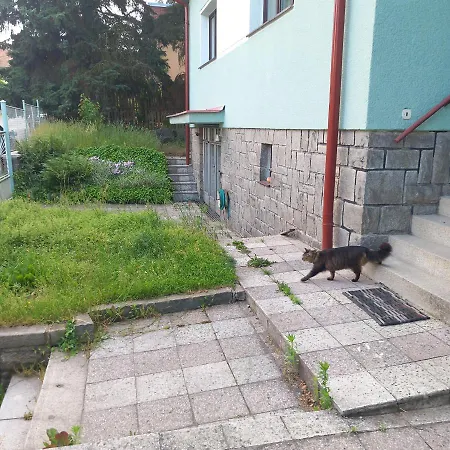 Dum V Plzni V Prirode A V Klidu Blizko Centra Holiday home